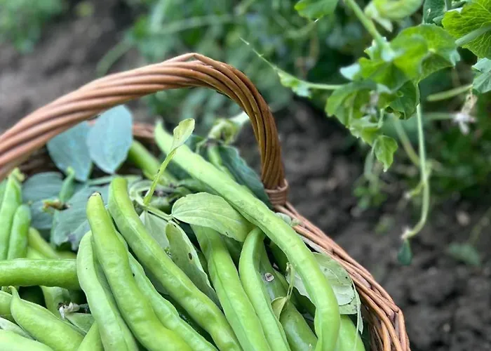 Bed & Breakfast Cinziahome Boutique Lido di Fermo